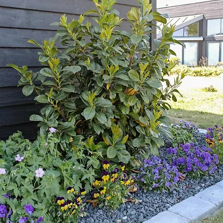 Holiday home Holiday Solskraenten Ii Mommark